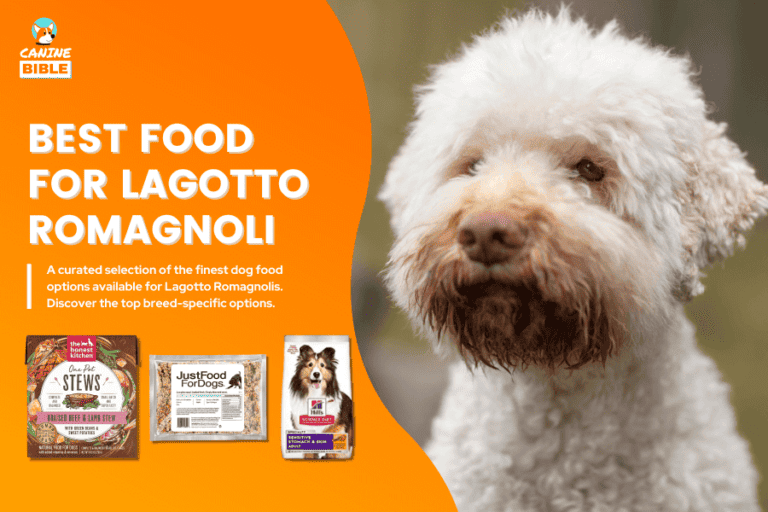 Best Dog Food For Lagotto Romagnolos 2024 — Vet Picks & Reviews