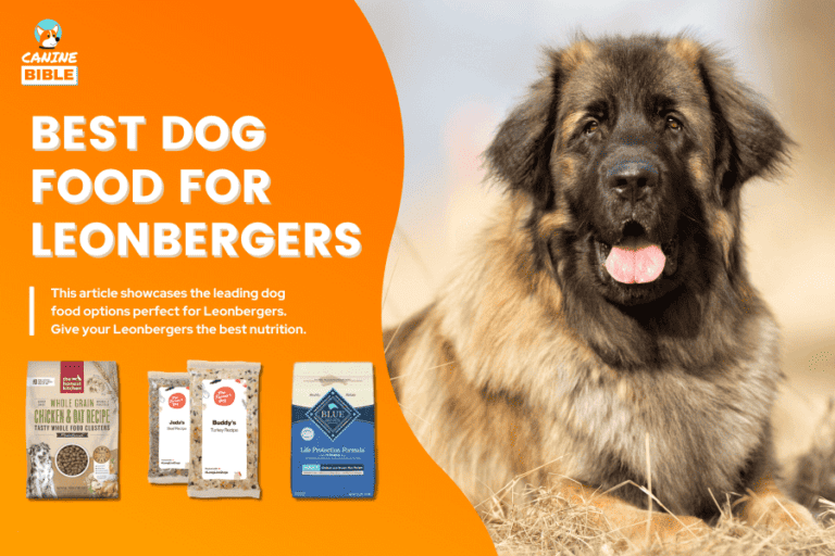 10 Best Dog Food For Leonbergers: Review & Picks