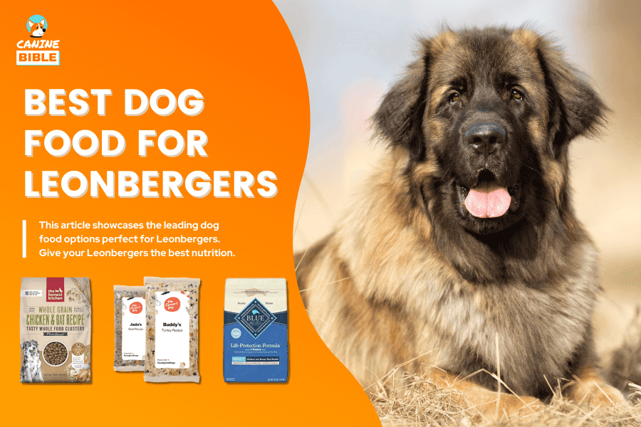 Best Dog Food For Leonbergers