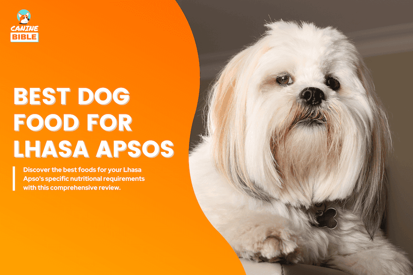 Best Dog Food For Lhasa Apsos