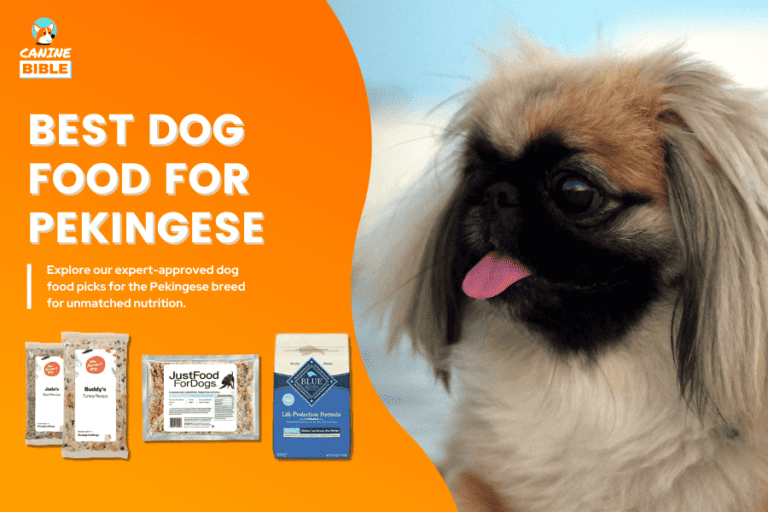Best Dog Food For Pekingese — Definitive Picks 2024