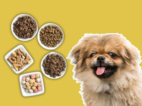 Best Dog Food For Pekingese chapter 1