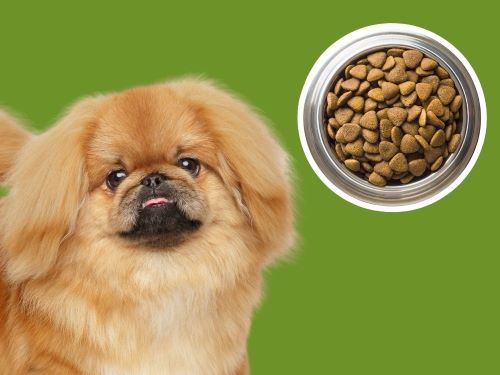 Best Dog Food For Pekingese chapter 2