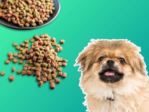 Best Dog Food For Pekingese chapter 3