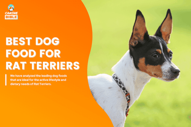best dog food for rat terriers