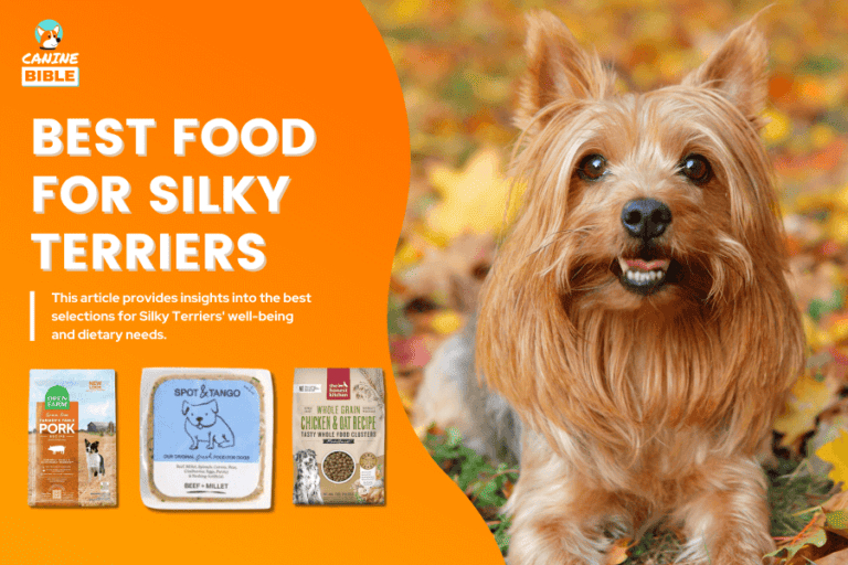 Best Dog Food For Silky Terriers