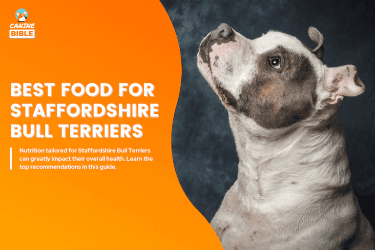 Best Dog Food For Staffordshire Bull Terriers
