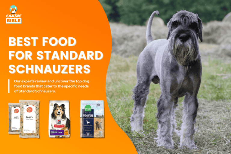 Best Dog Food For Standard Schnauzers: Nutritious & Tasty [2024]