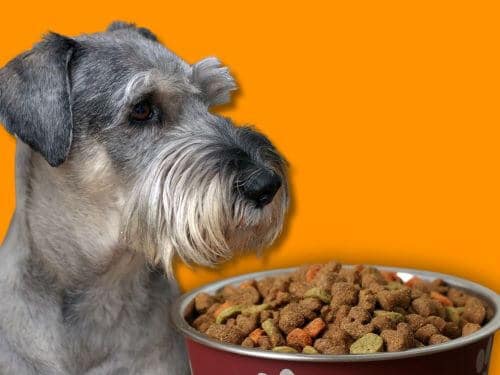 Best Dog Food For Standard Schnauzers chapter 2