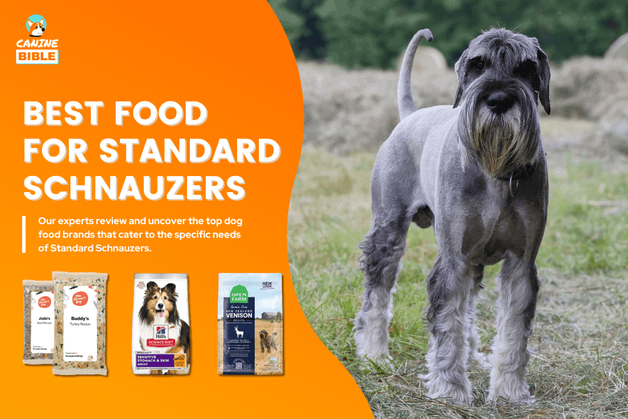 Best Dog Food For Standard Schnauzers