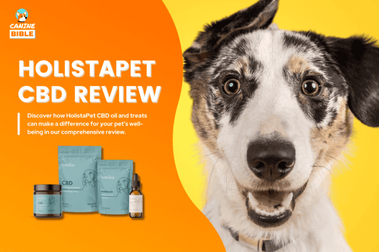 HolistaPet Reviews: My Dog Tried Their Oils & Treats [Results & Verdict]