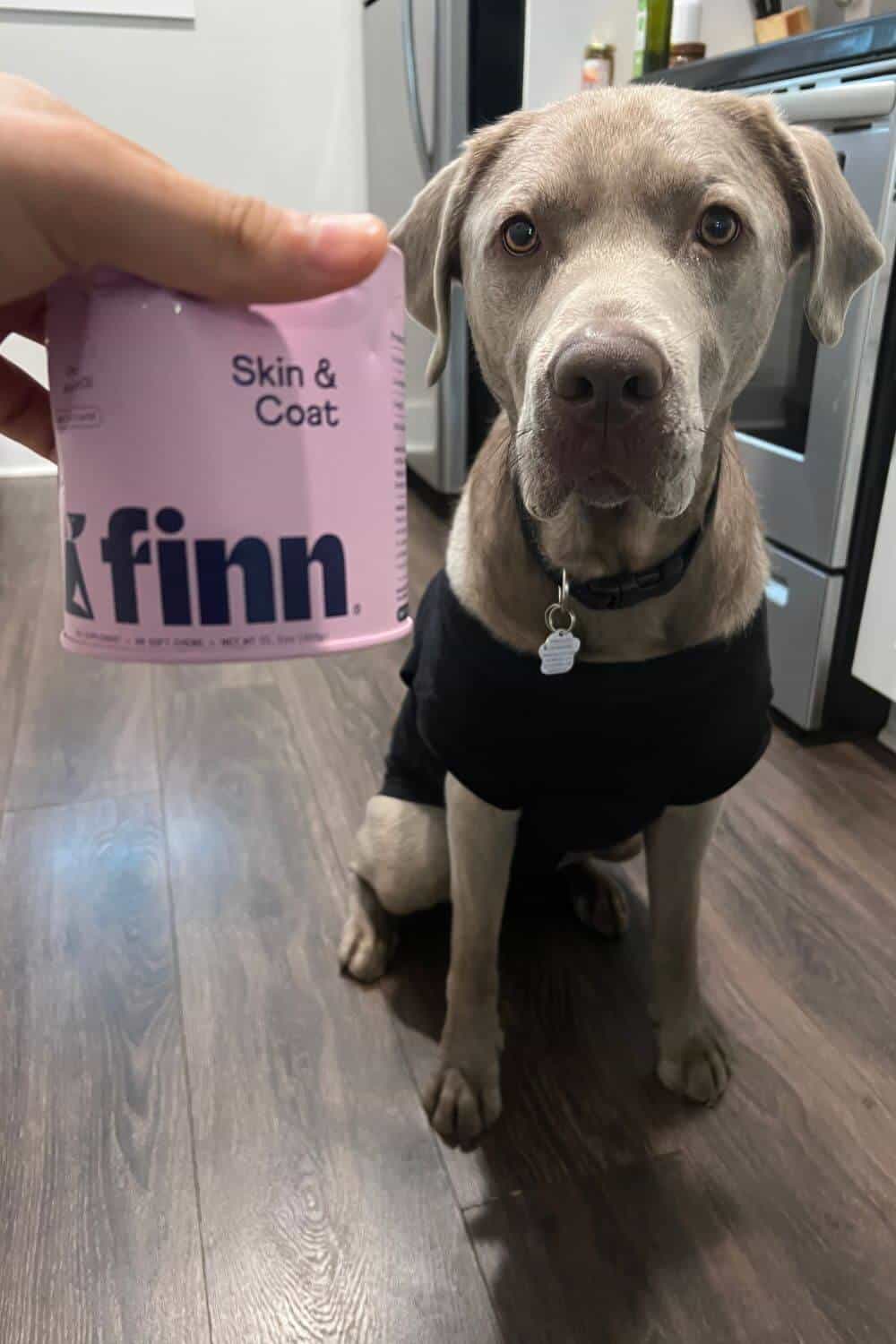 Pet Finn Dog Supplement Reviews Our Pups Experience & Results Canine