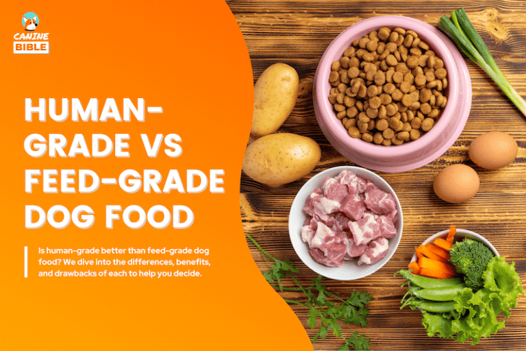 Human Grade vs Feed-Grade Dog Food: Which Is Better? [Pros & Cons]