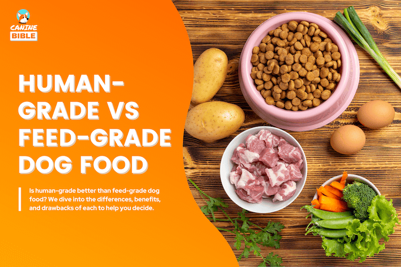 human grade dog food vs feed grade dog food
