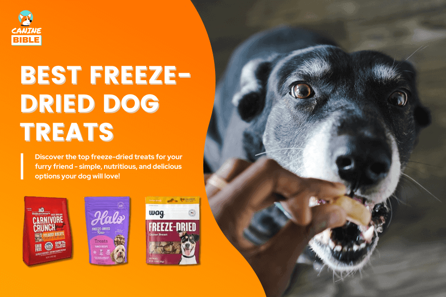 Best Freeze Dried Dog Treats