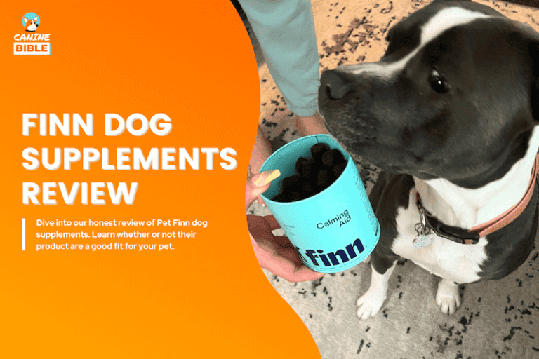 Pet Finn Dog Supplement Reviews: Our Pups Experience & Results