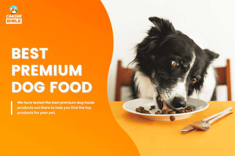 Best Premium Dog Foods: These Are My Top 10 [Are They Worth It?]