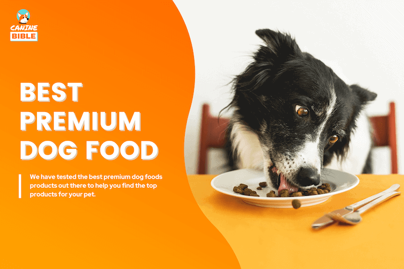 best premium dog food