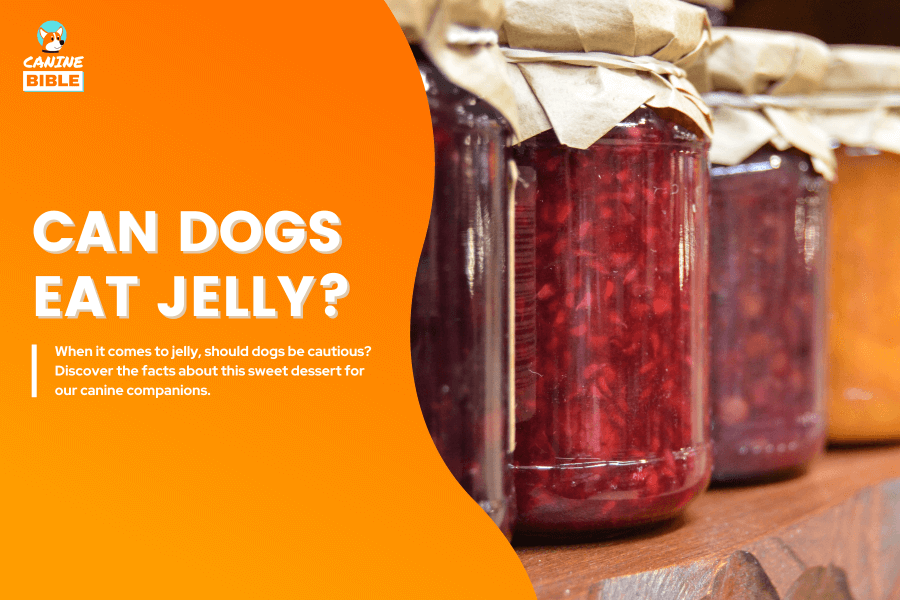 can dogs eat jelly