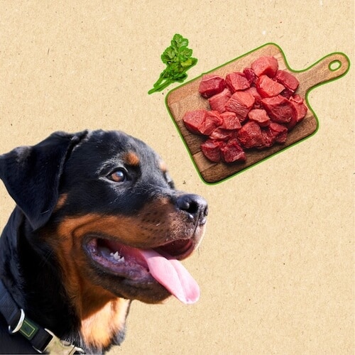 raw diet for rottweiler