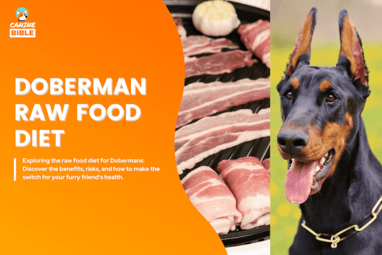 Doberman Raw Dog Food Diet Guide & Recipes