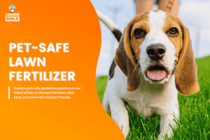 Is Lawn Fertilizer Safe For Dogs? Will It Harm My Dog Bad? - Canine Bible