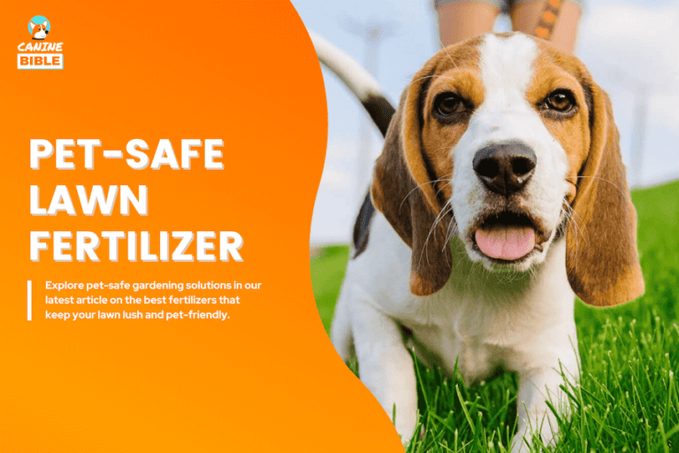 Best Pet Safe Lawn Fertilizer: Grow Dog-Friendly Grass [Reviews]