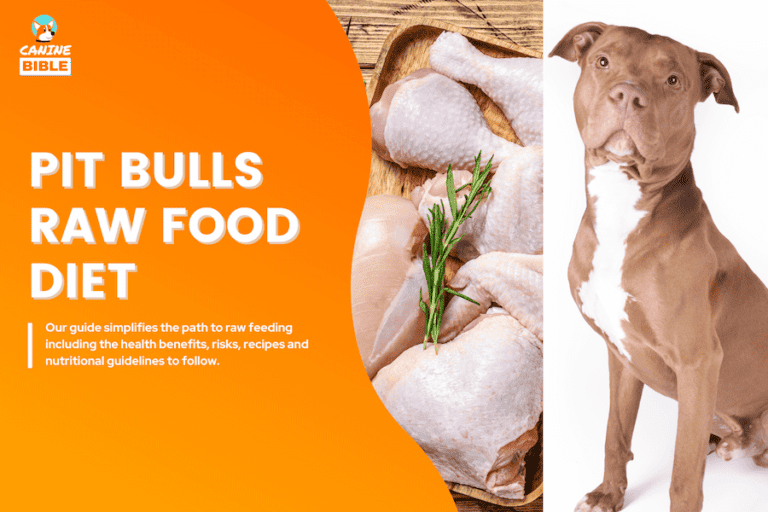 Pit Bull Raw Dog Food Diet & Recipes — Complete Guide