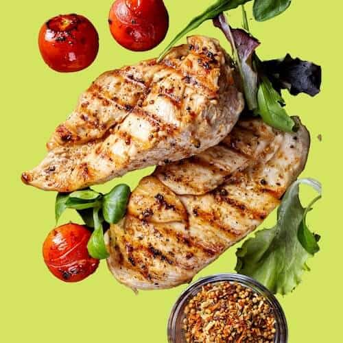 maltese dog food recipes