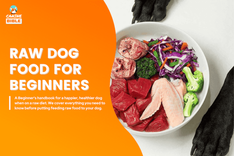 Raw Dog Food For Beginners Guide: 18 Things You Must Know