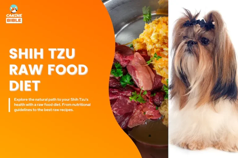 Shih Tzu Raw Food Diet: Guide & Recipes