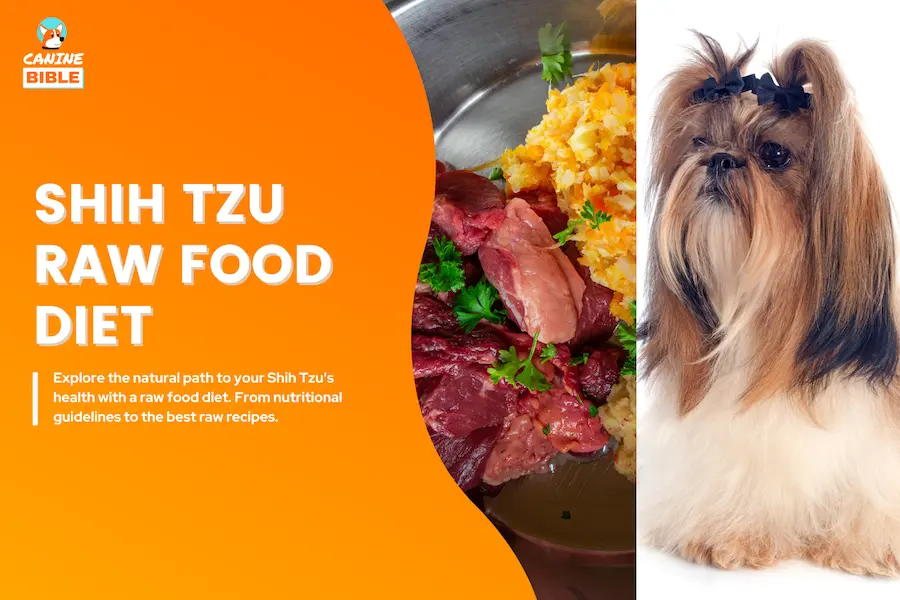 shih tzu raw food diet