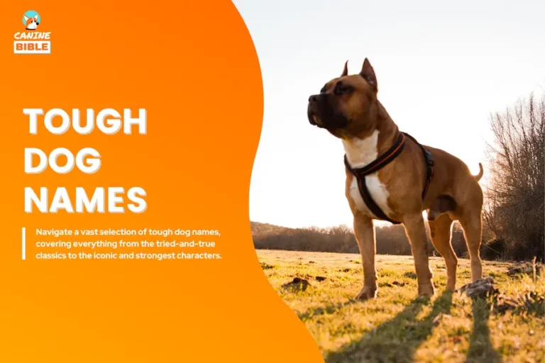 tough dog names