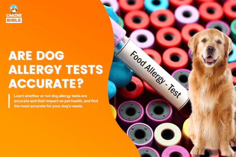 are dog allergy test accurate
