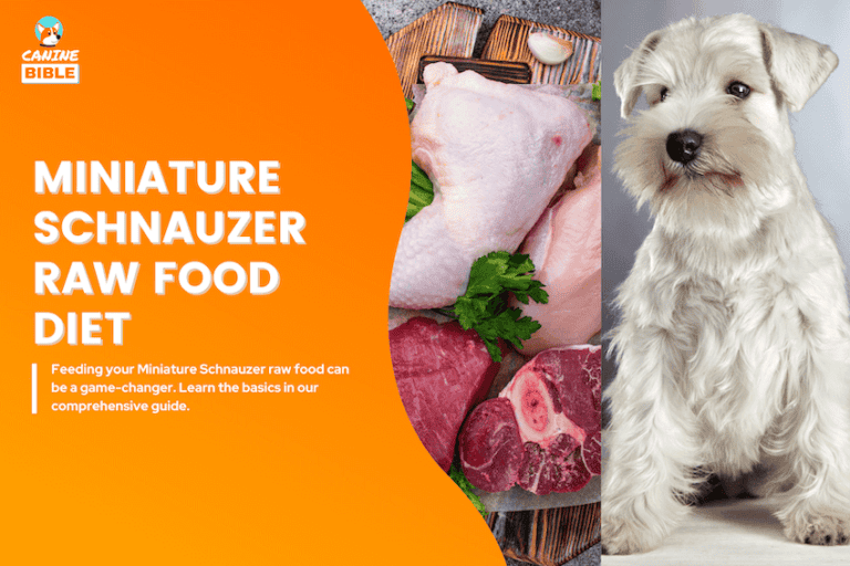 Raw Food Diet For Miniature Schnauzer