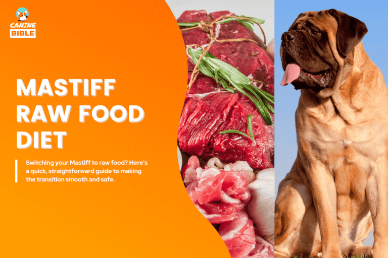 mastiff raw food diet