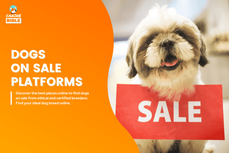 dogs on sale