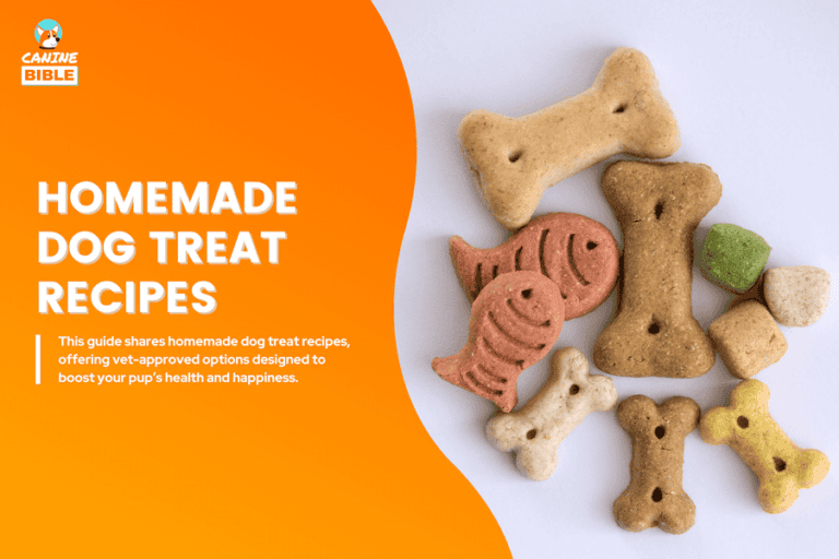 homemade dog treat recipes