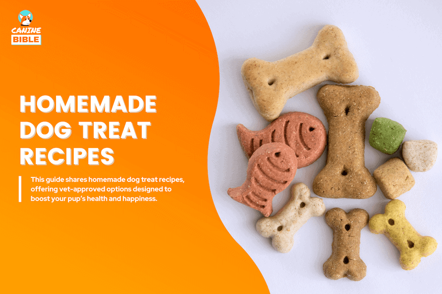 homemade dog treat recipes