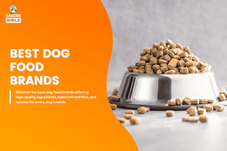 Best Dog Foods Brands of 2025: Vet-Recommened & Tested