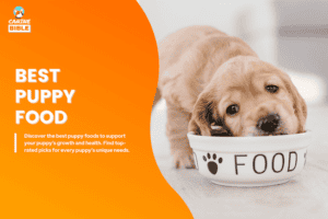 12 Best Dog Food For Puppies 2026: Vet-Approved Brands - Canine Bible