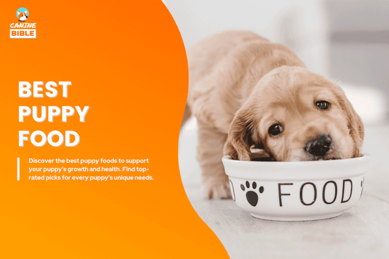 Best Puppy Foods In 2025: Top Vet-Recommended Brands