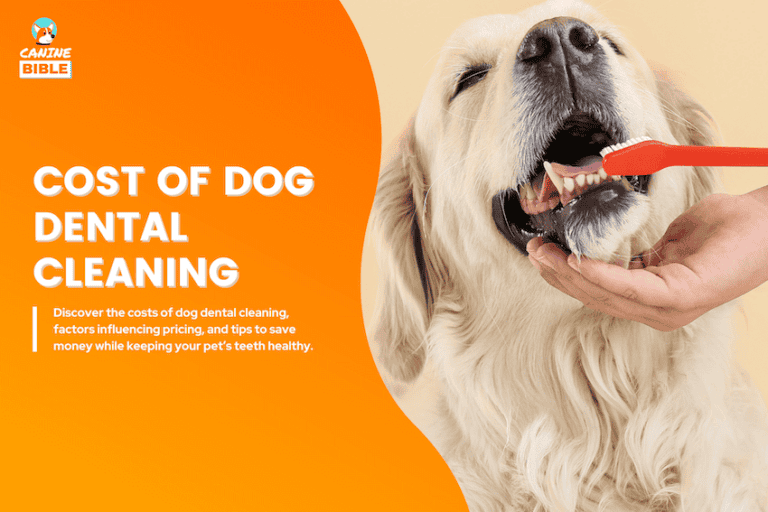 costs of dog dental cleaning