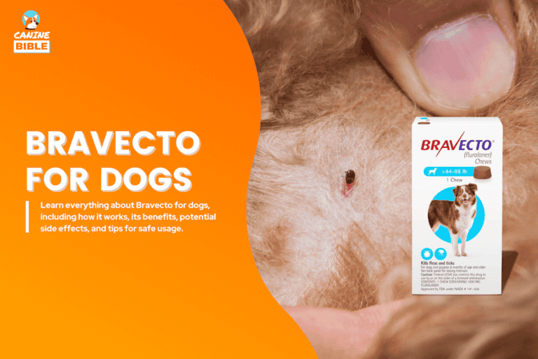 Bravecto for Dogs: Is Bravecto Safe for Your Dog? 