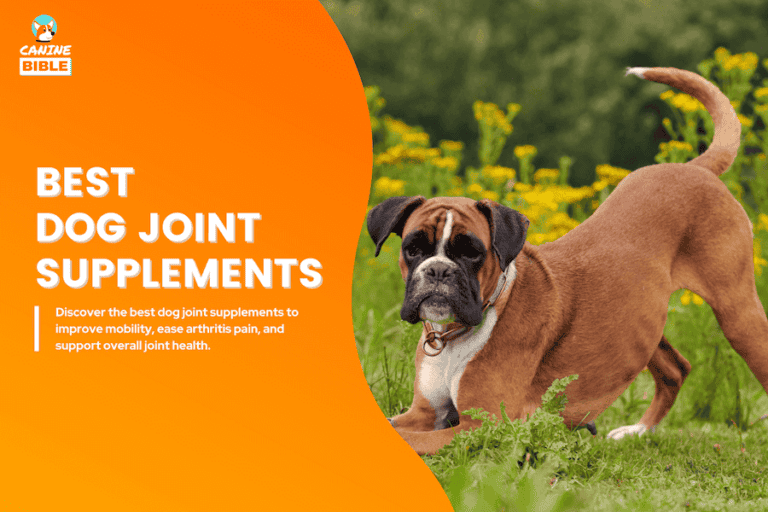 best dog joint supplements
