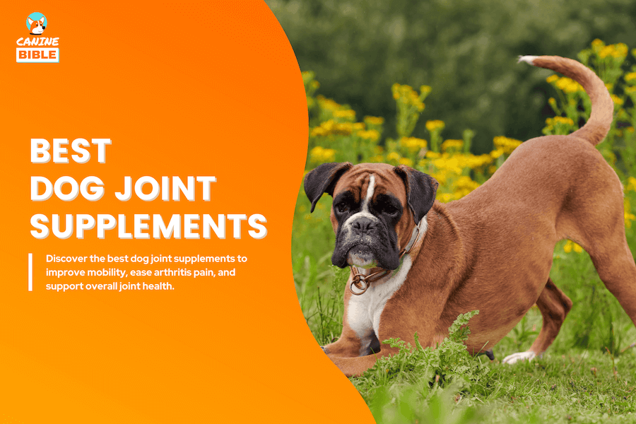 best dog joint supplements