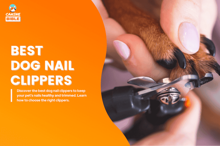 best dog nail clippers