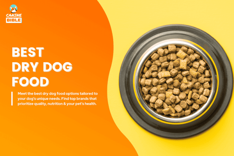 Best Dry Dog Food 2025:  For Every Need (Vet-Recommened Brands)