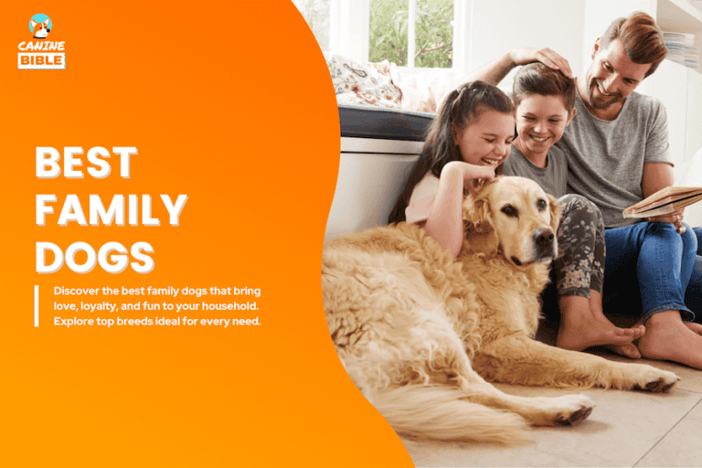 Best Family Dogs: Top 30 Breeds (For Every Need)