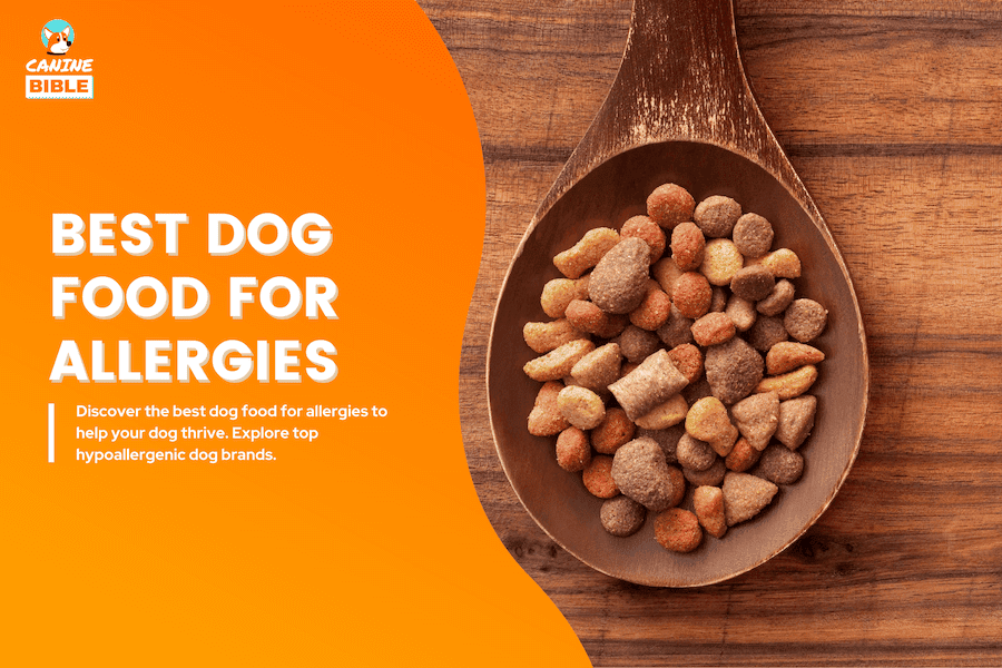 best dog food for allergies